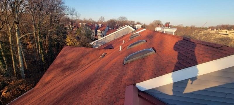 Roof coating application