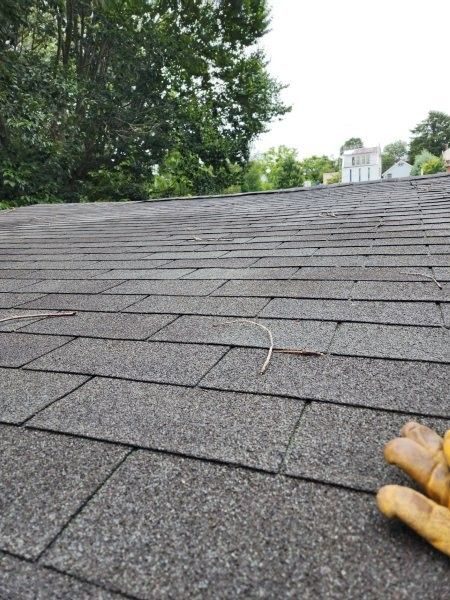 Roof shingle surface