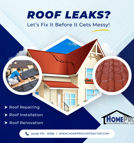 Roof Leaks